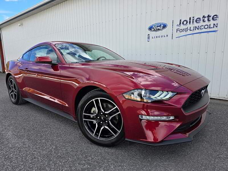 2019 Ford Mustang